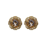 Aretes bloom morganitas